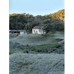 Geada muda o cenário em Campo Largo e marca o início do inverno